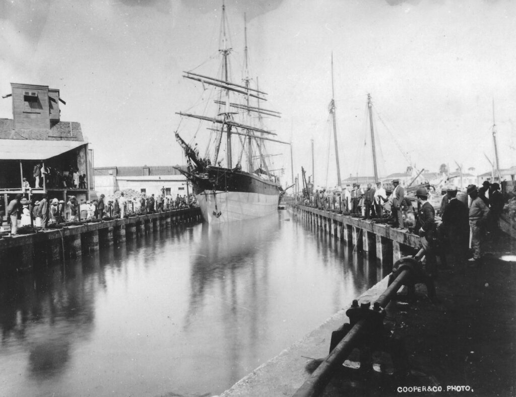 Blackwoods Dock, Barbados c.1890