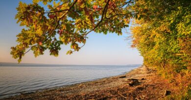 Why September Is The Month To Understand The Yacht Market In Person Why September Is The Month To Understand The Yacht Market In Person