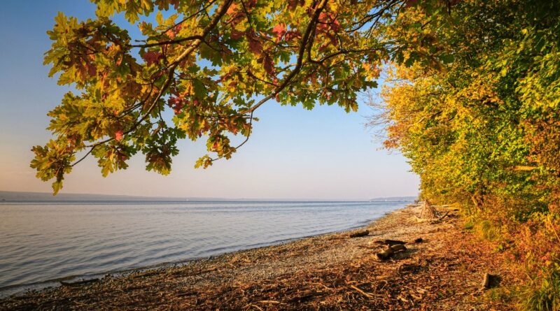Why September Is The Month To Understand The Yacht Market In Person Why September Is The Month To Understand The Yacht Market In Person